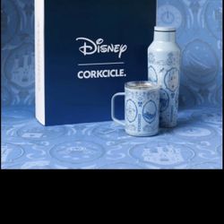 New in box disney princess cinderella Corkcicle sport canteen and mug gift set