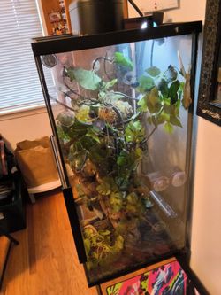 Large reptile tank