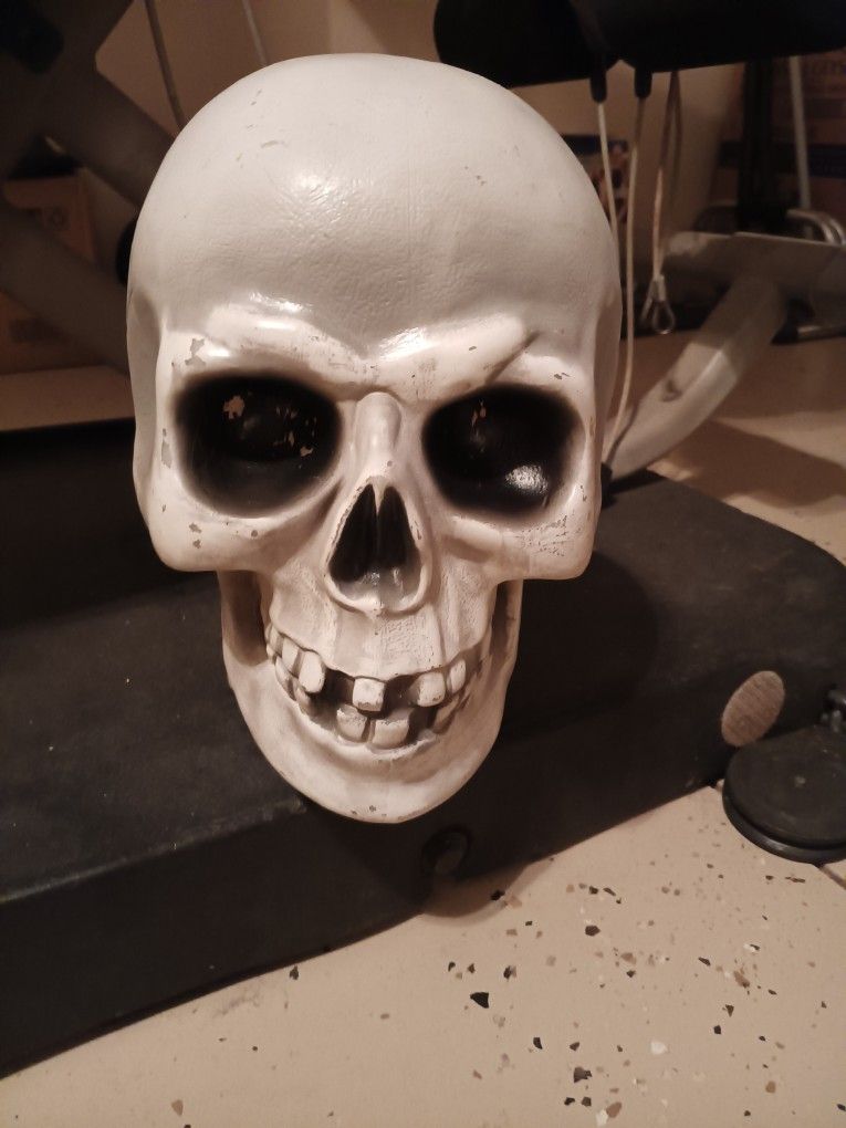 Light Up 10" Overside Skulls With Battery