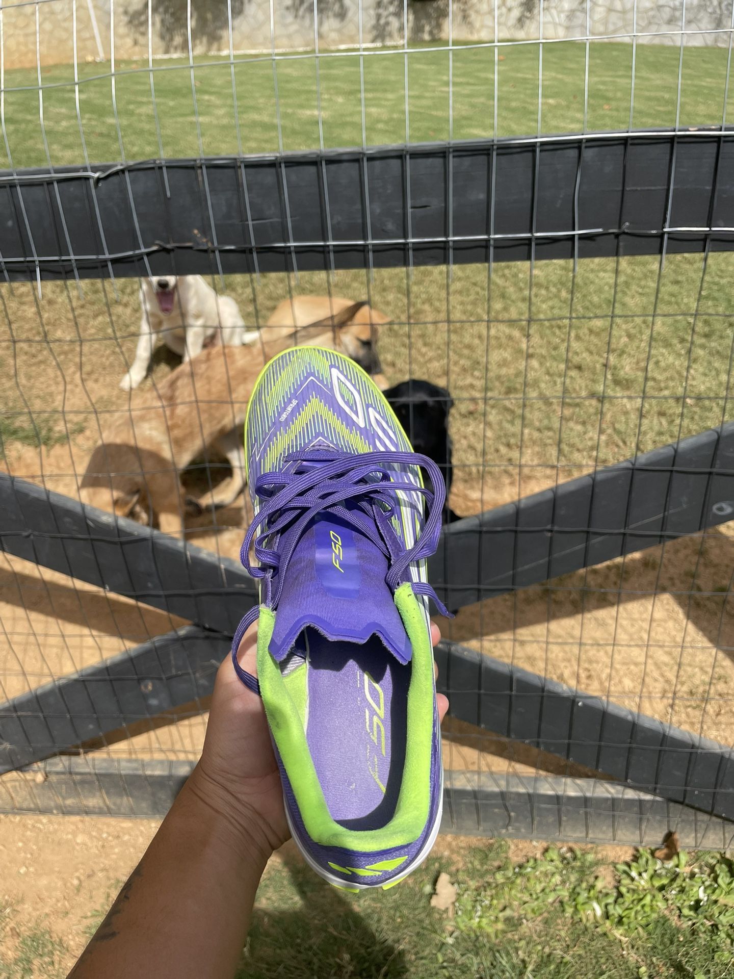 Adidas F50 Indoor / Turf