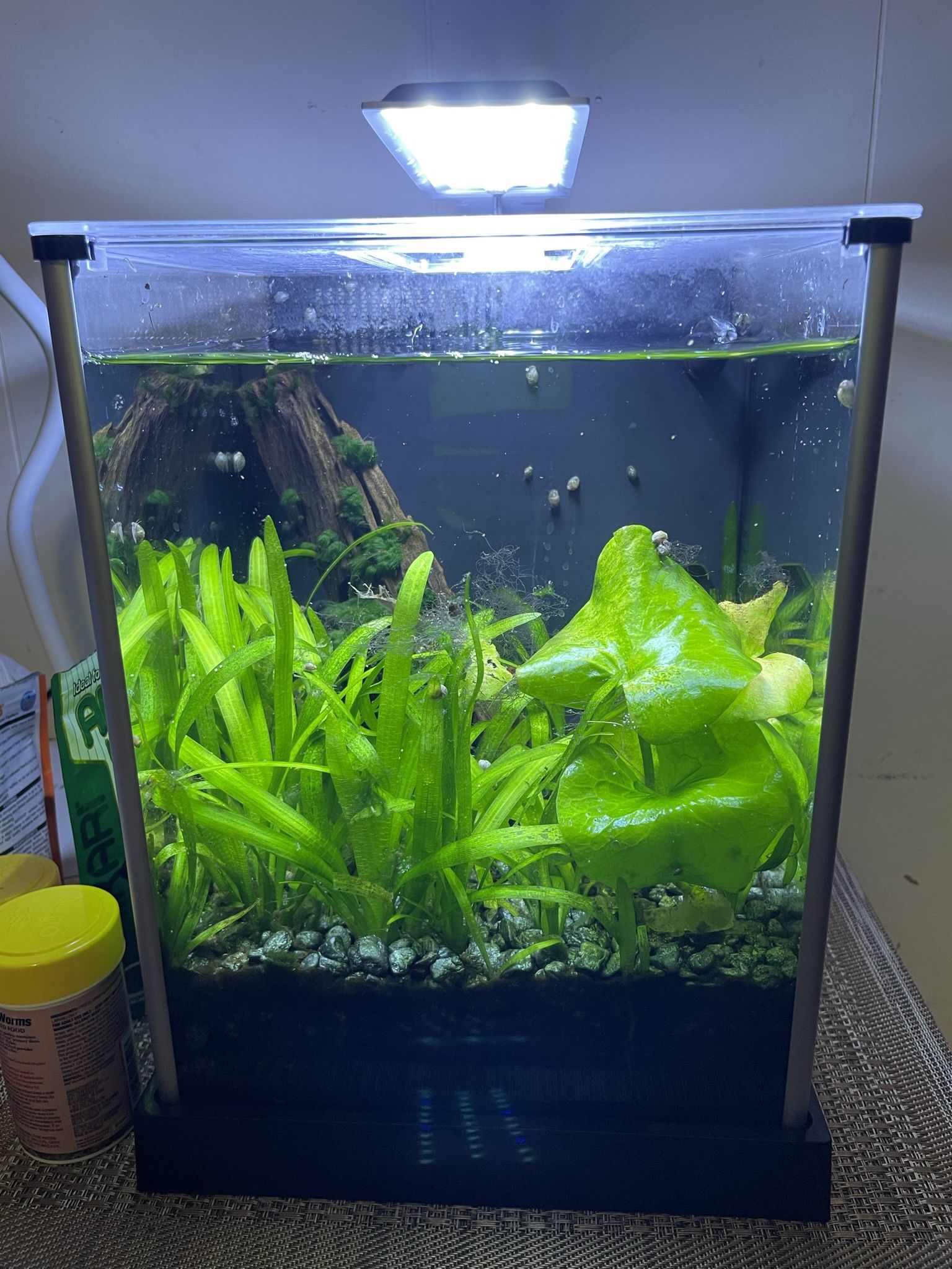 Fluval 2.5 & 5 Gallon Fish Tank