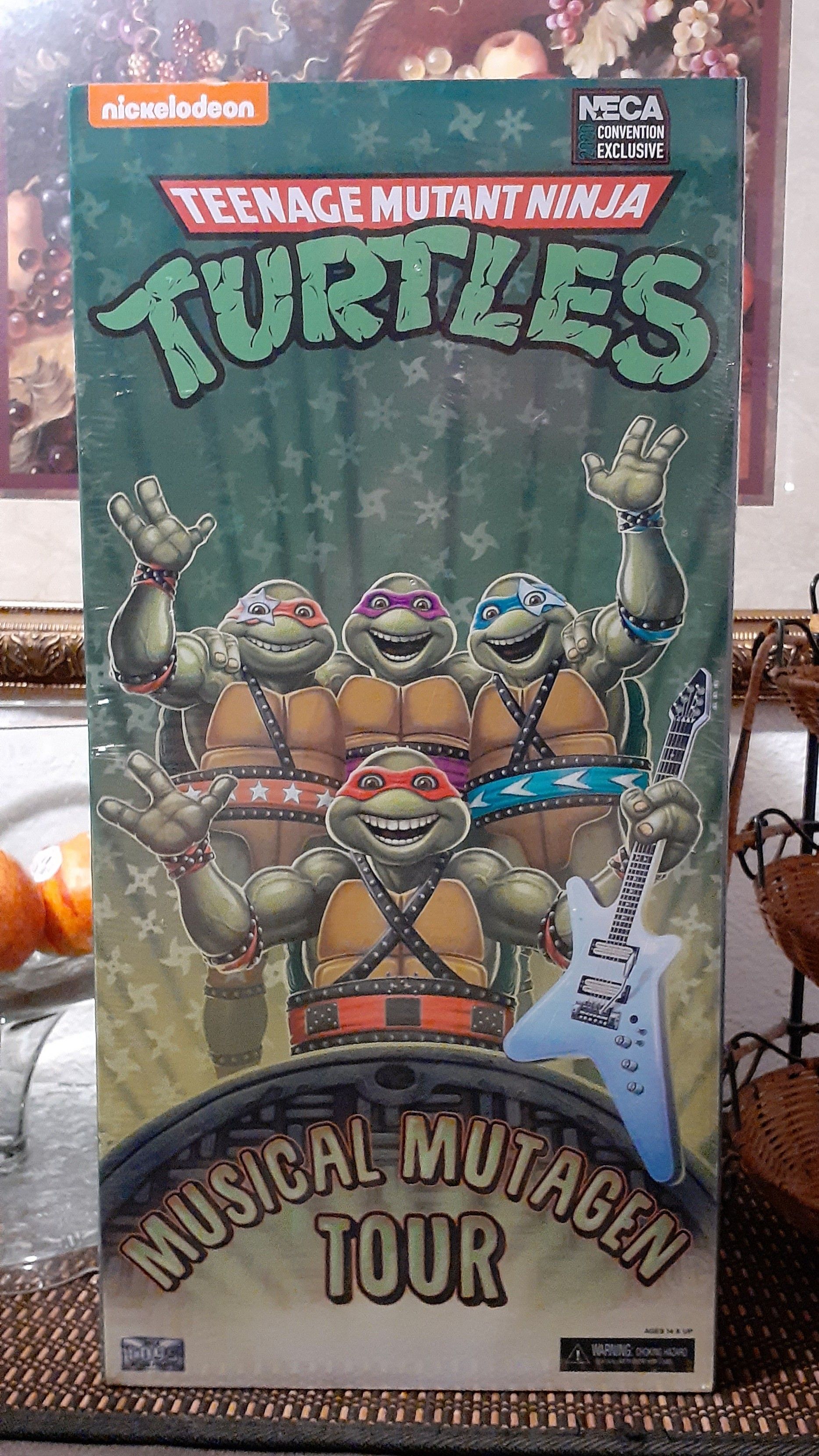 NINJA TURTLES MUSICAL TOUR