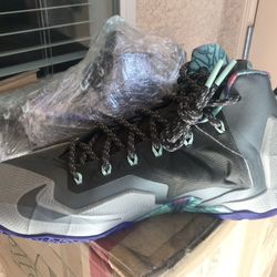 NIKE LEBRON 11 "TERRACOTTA WARRIOR" Size 10