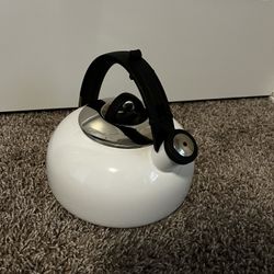 Kettle for the stove 