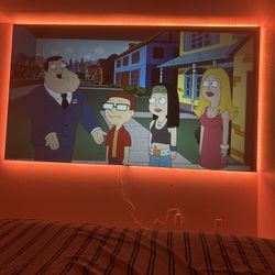 4K Projector with High end SLR Screen, and Wall mount