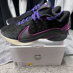 Nike LeBron XXII Size 12