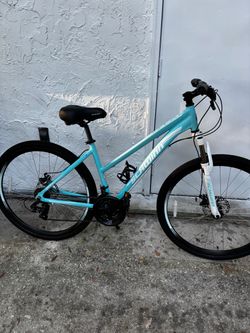 Hybrid bike