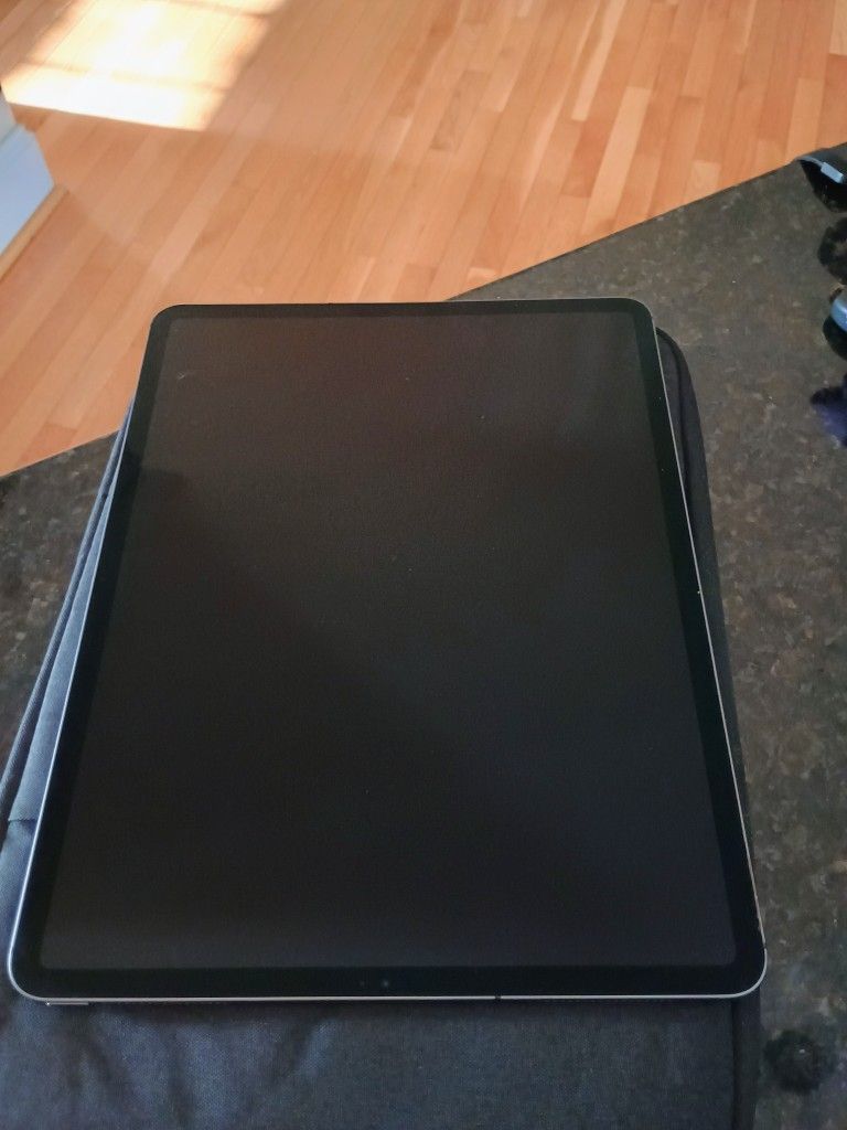 Apple iPad Pro 12.9" (3rd Gen) A2014 (WiFi + Cellular Unlocked) 256GB Space Gray