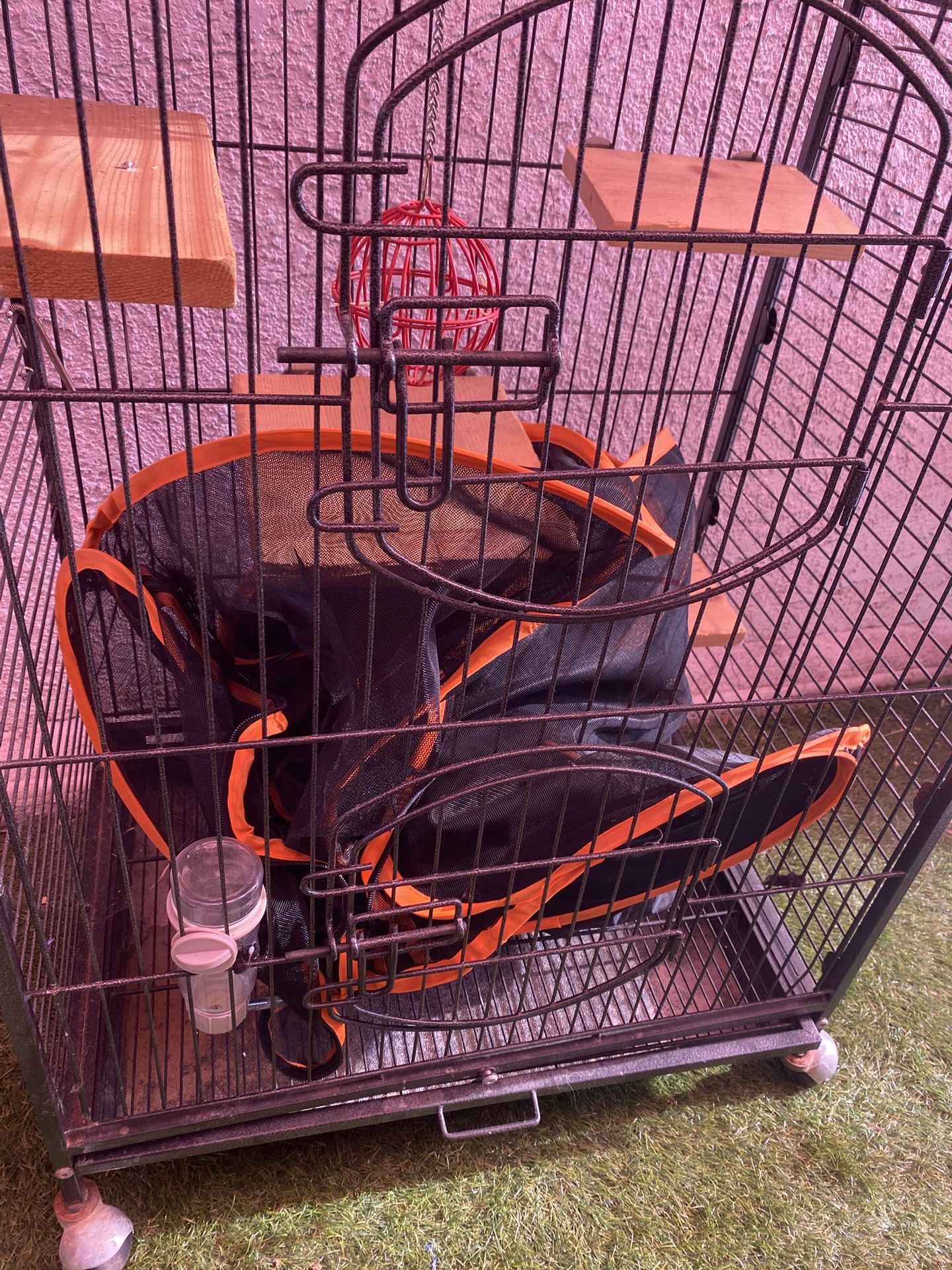 Cage