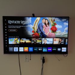 50’ VIZIO & GOVEE LIGHTS