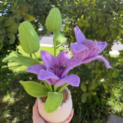 Handmade Crochet Purple Lily Flower Pot