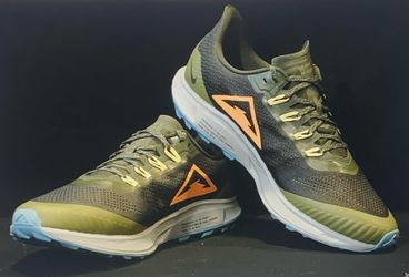 Nike Air Zoom Pegasus 36 Trail Sequoia Orange Size 11 – Like New