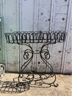 Curl Fern Plant Stand