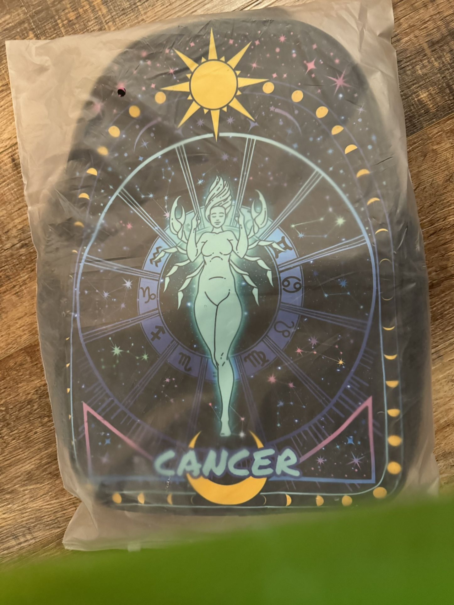 NIP NEVER USED Cancer Zodiac sign Backpack