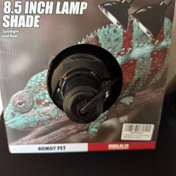 Reptile Lamp 8.5”