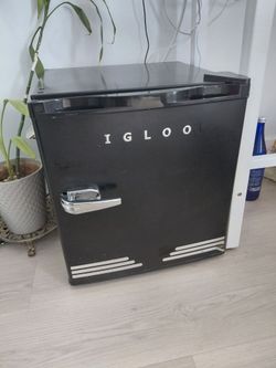 Igloo