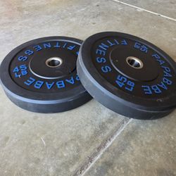 45lb Bumper Plates Pair – Like New – $200 OBO