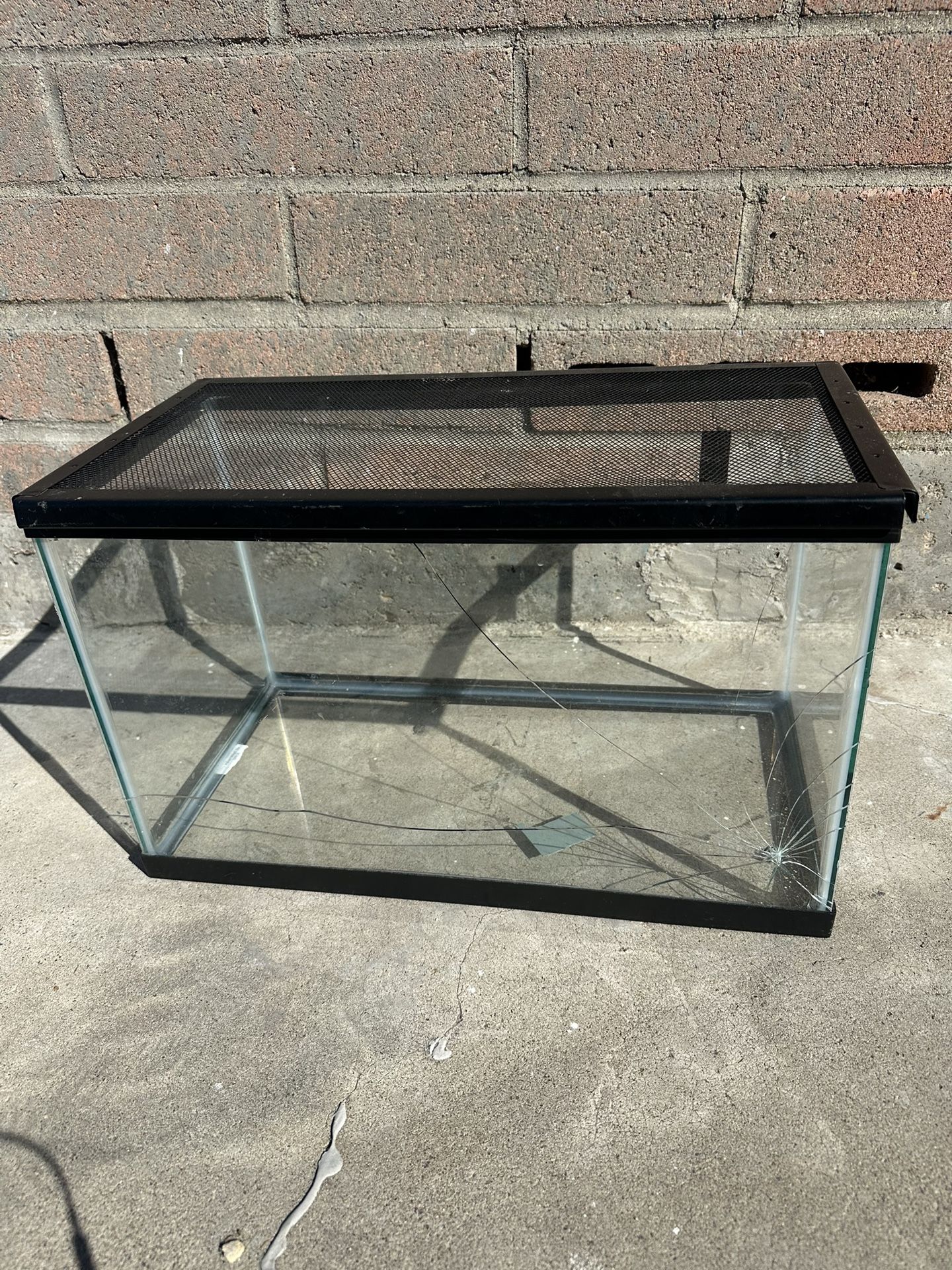 Free 10 Gallon Glass Tank