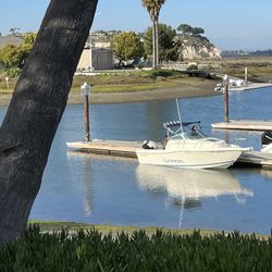 2150 Seaswirl Striper O/B Evinrude OceanPro 150