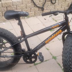 Fat Tire Mountain Bike