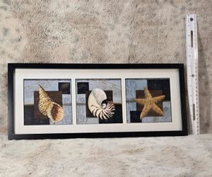 Seashell Framed Art