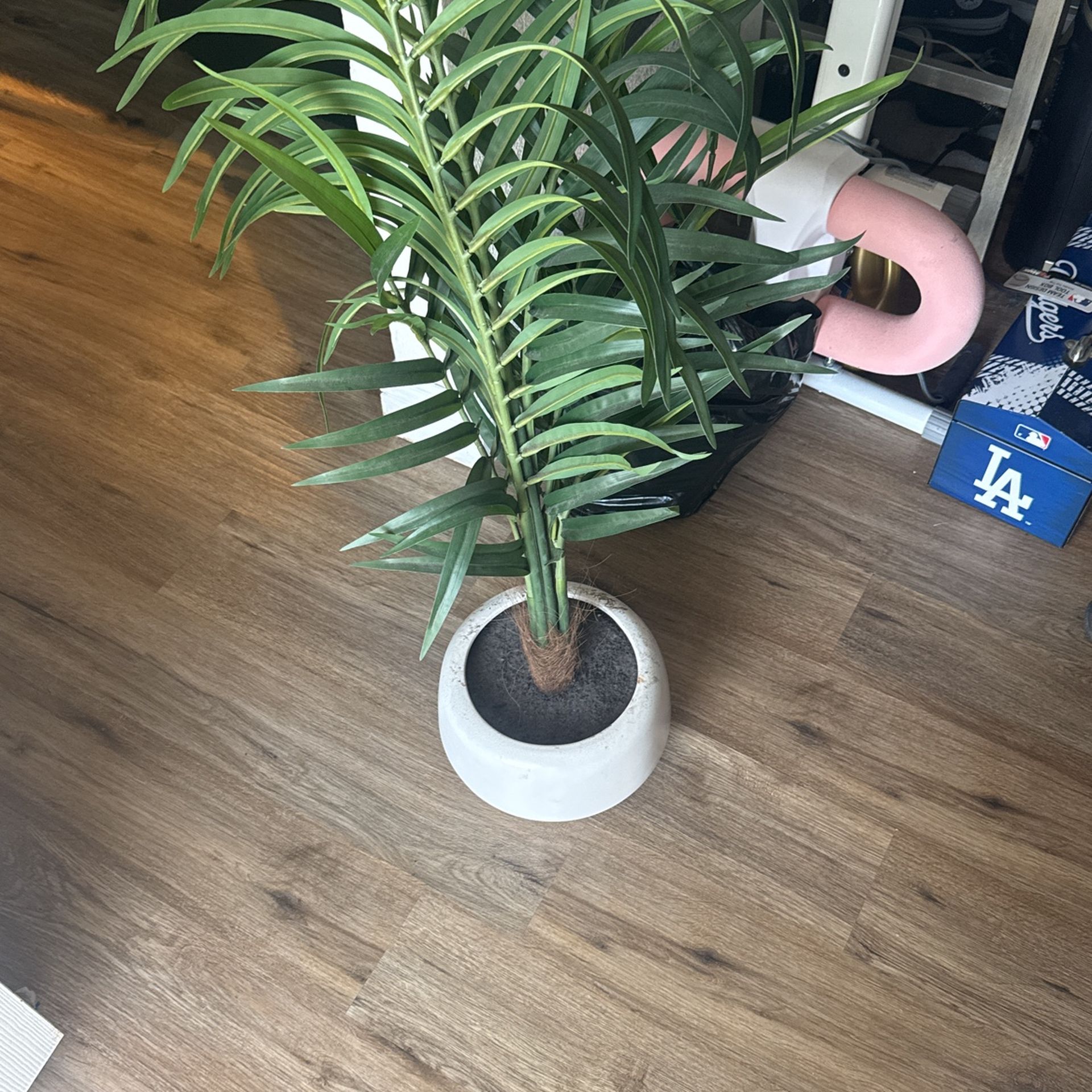 Fake Plant For Decoration