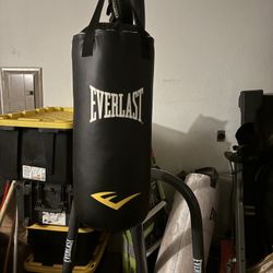 Everlast Punching Bag