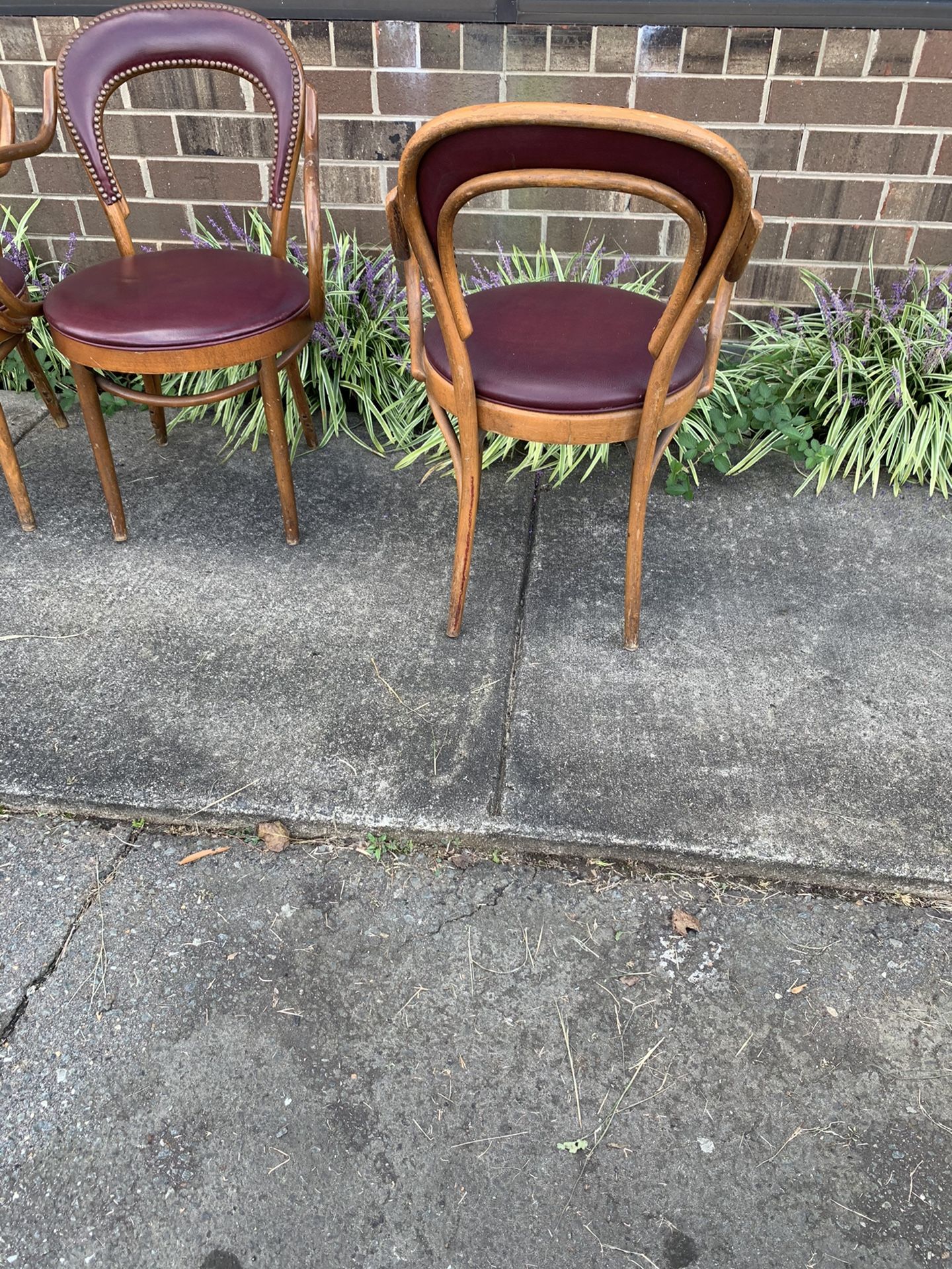 Vintage shelby williams bentwood chairs new arrivals