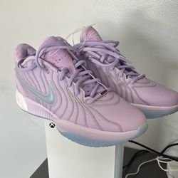 Nike LeBron 21 XXI Easter Purple HF5353-500 Men’s Size 11 Basketball Shoes 