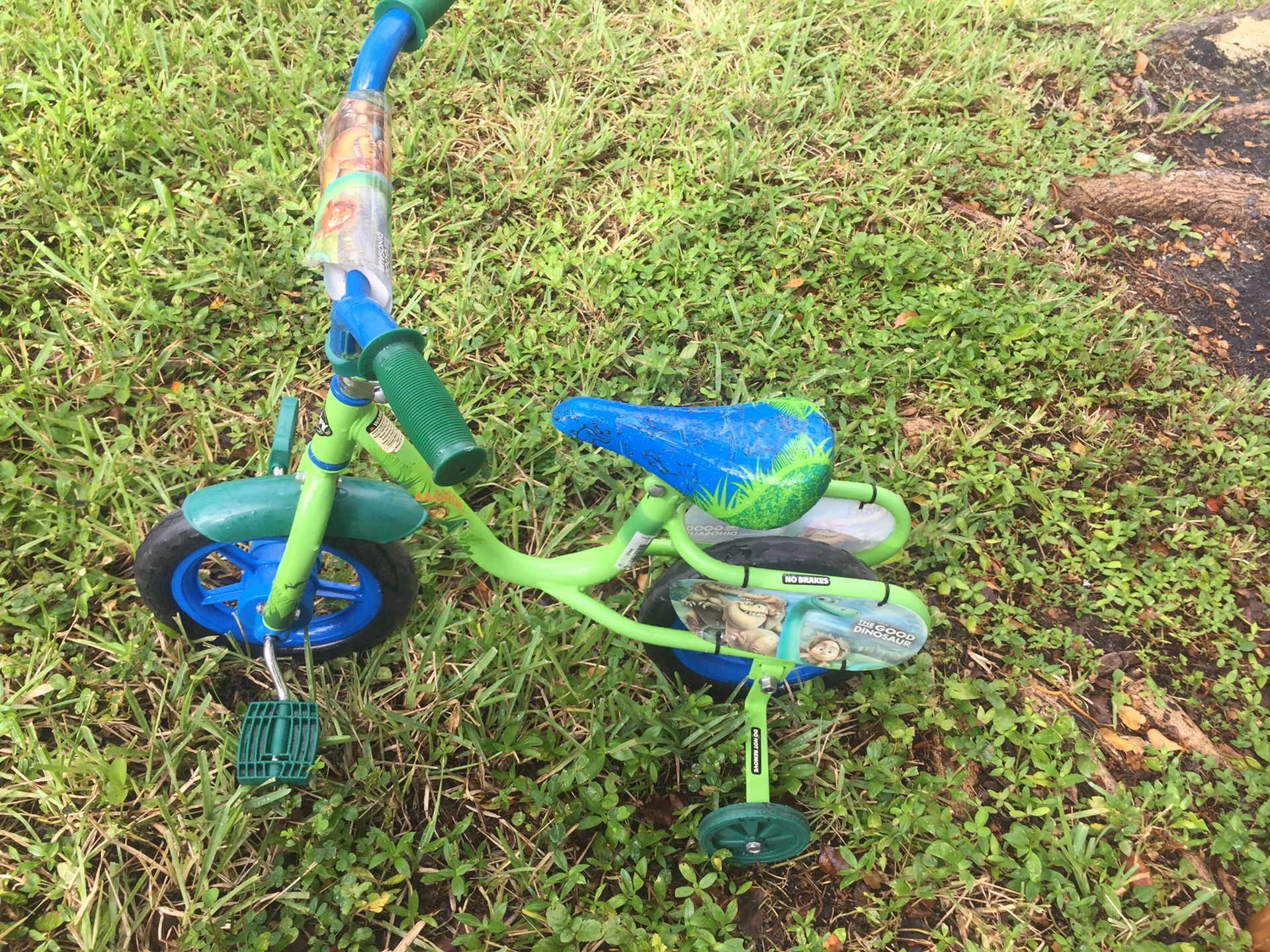 Little kids dinosaur bike