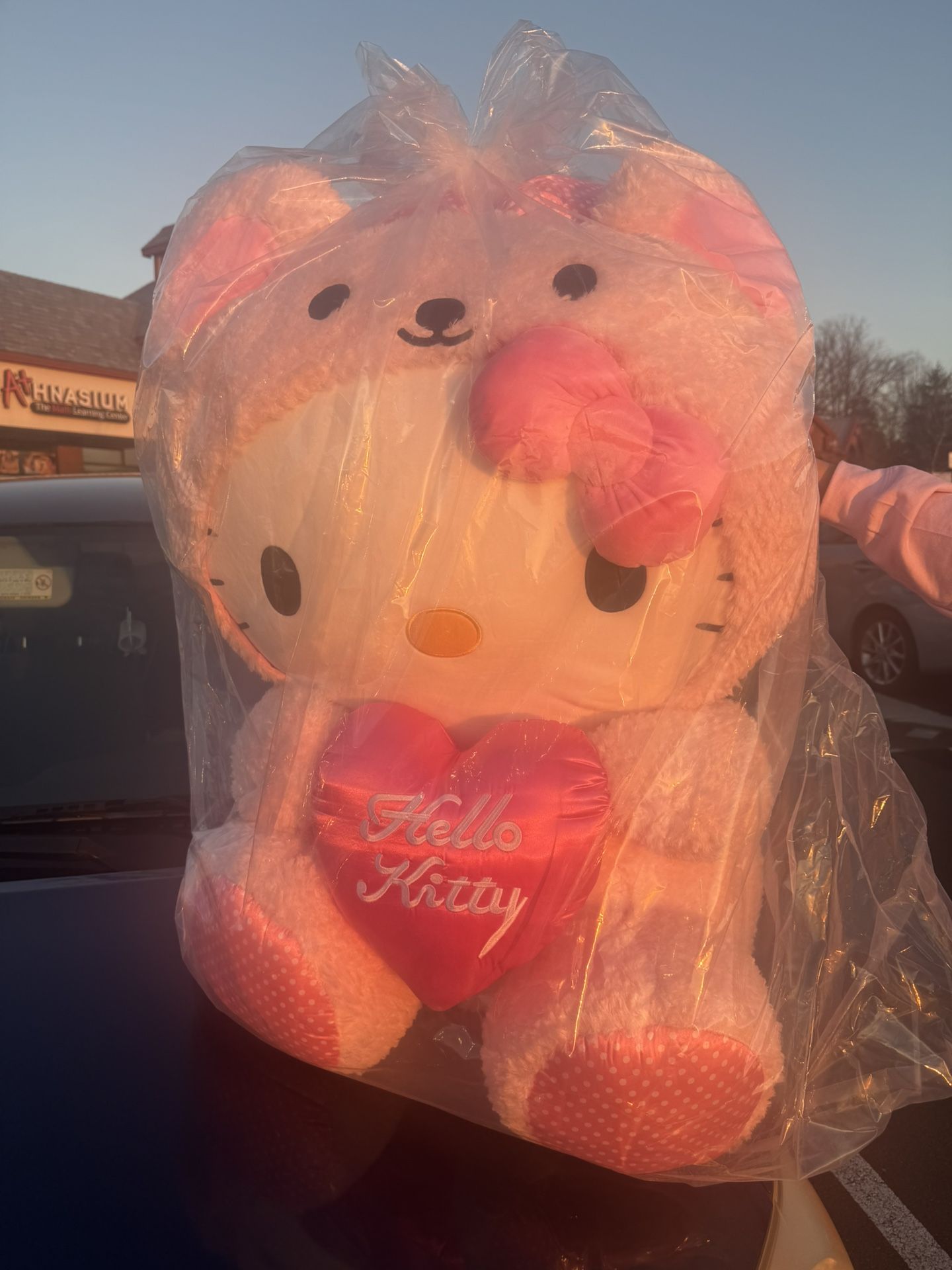 Giant Hello Kitty 🩷