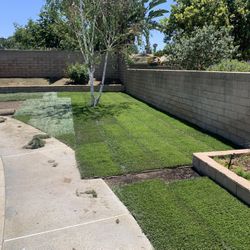 Sprinklers And Sod, Decorative Rocks And Decomposed Granite, Artificial Grass 