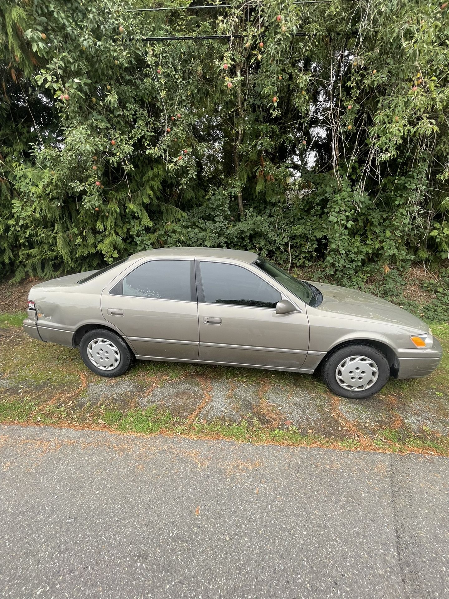 1999 Toyota Camry