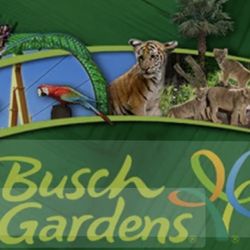 4 Busch Gardens Tickets W/ Parking 