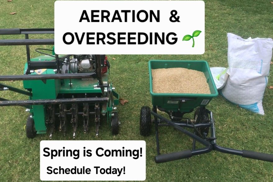 Aerator/Dethatcher