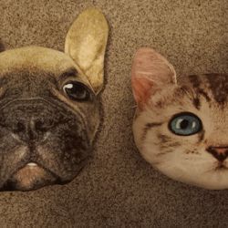 Dog And Cat Pillows 