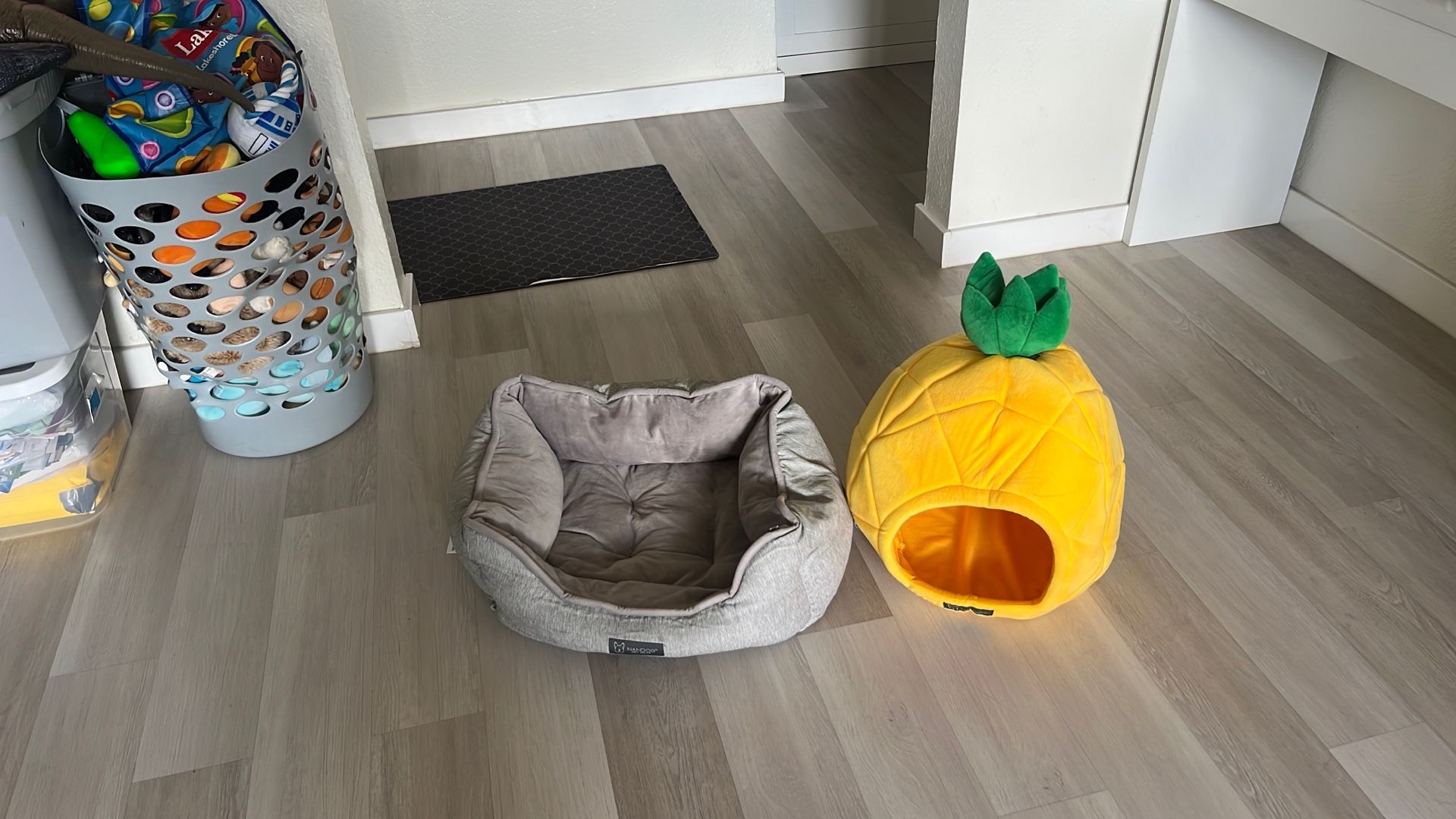 Dog Bed