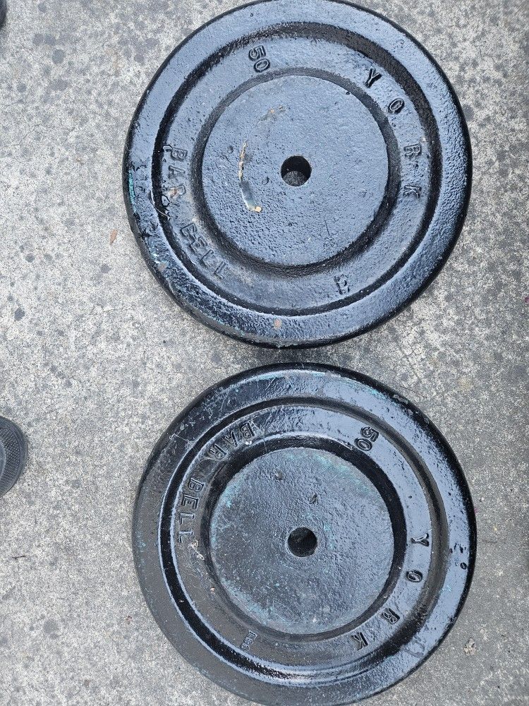 50 Pound 1" Weights Set Of 2 -100 Pound Total