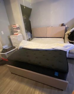 Bed Frame and Mattress