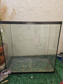 Aquarium Fish Tank