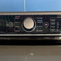 LG Electric Dryer