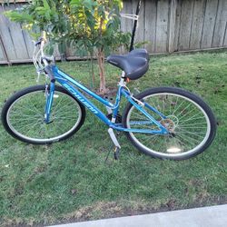 Ladies Bike Wide Tires- Seat