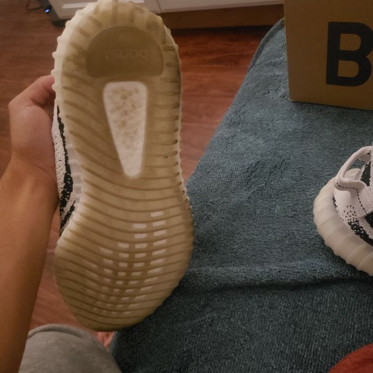 Yeezy's Zebra Size 9