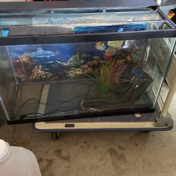 30 Gallon Fish Tank With Pump