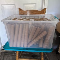 Empty / Paper Towel Rolls
