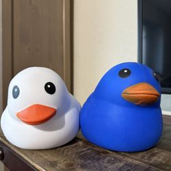 Squishy Ducks
