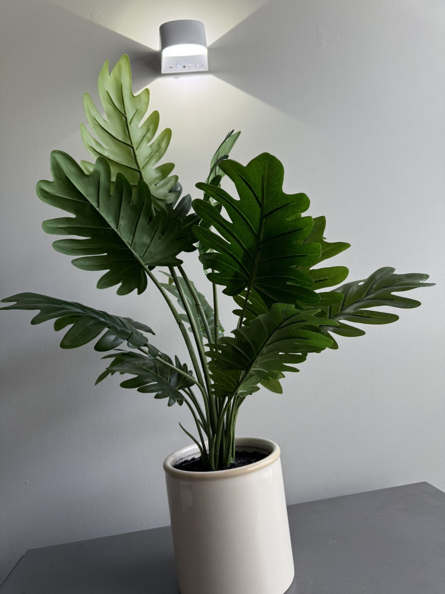 Fake Plant✨ 10$