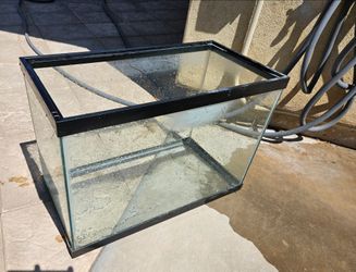 20 gallon tall fish tank