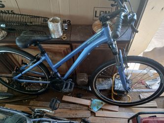 Brand New Woman's Schwinn Bicycle