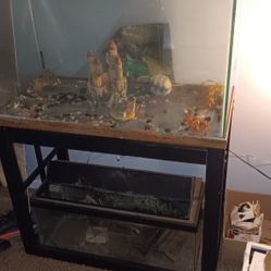 Fish Tanks Must Go